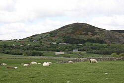 Castlewellan countryside, May 2010 (21)